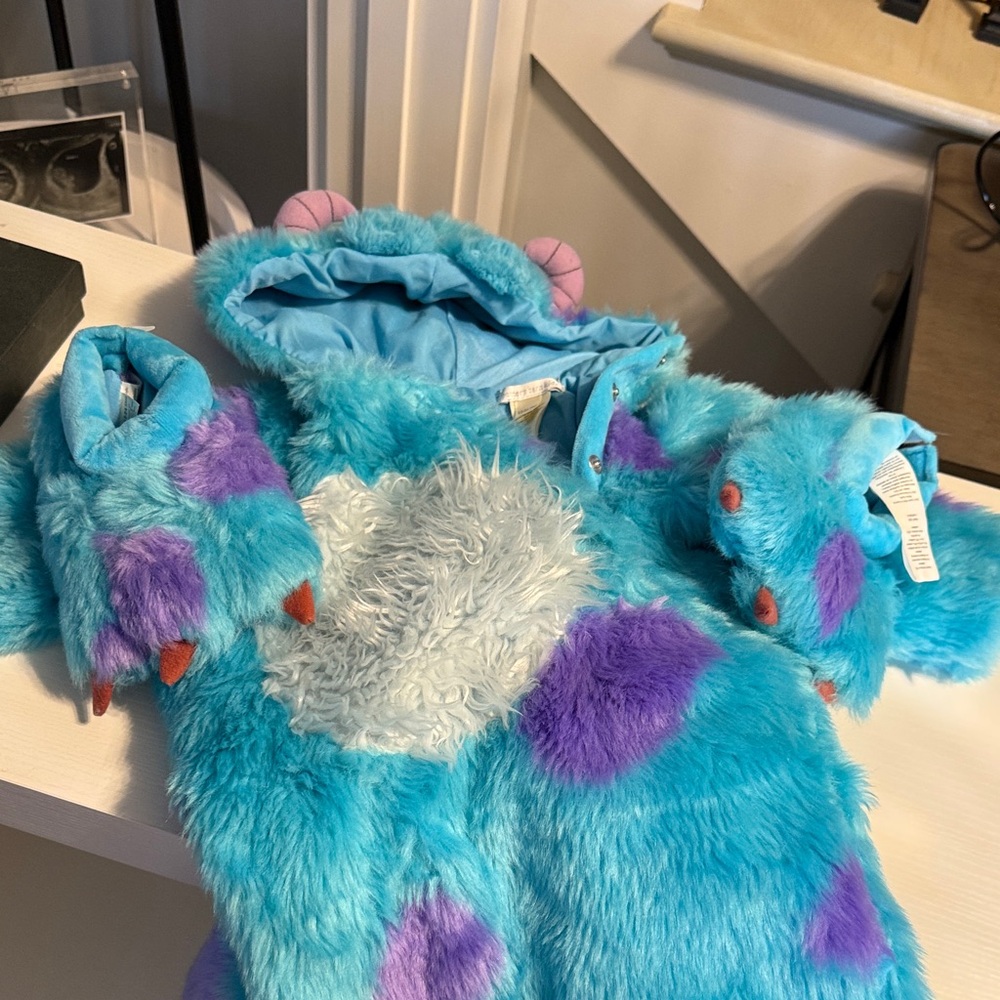 Pottery Barn Blue and Purple Furry Costume